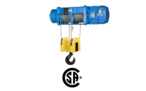 Foot Mounted Hoists